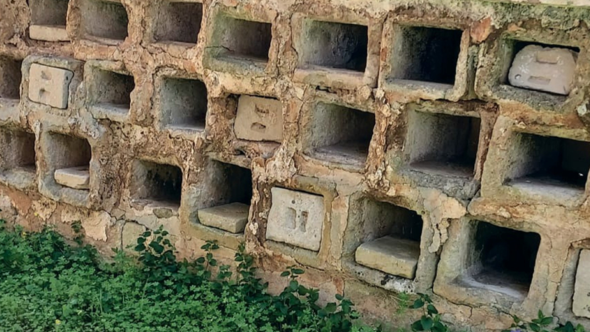 Itinerario dell'alveare e della grotta
