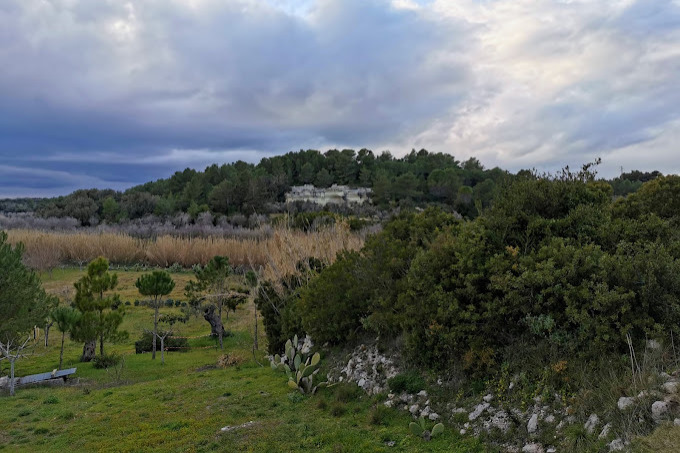 Monte Piccioniere